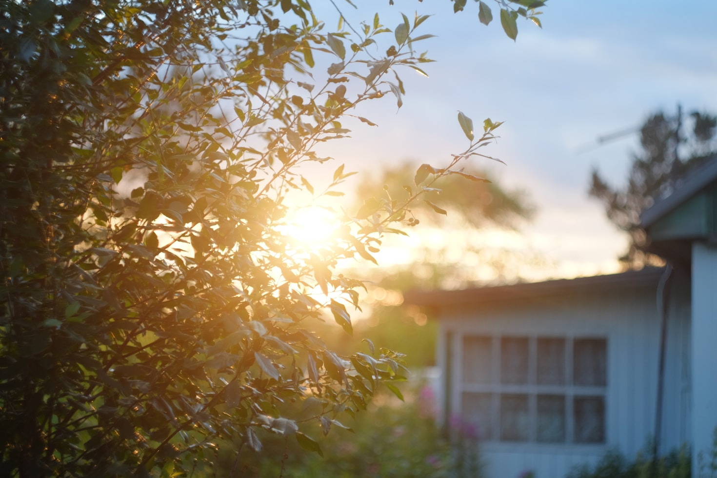 Dlaczego warto angażować się w życie wsi?