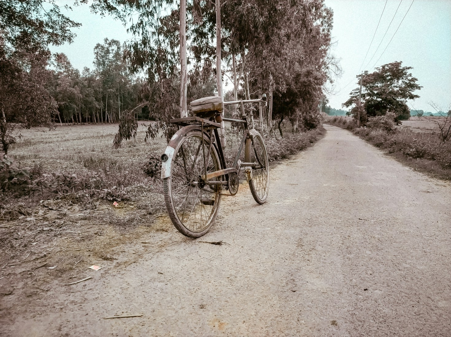 Fotorelacje z życia codziennego i uroczystości